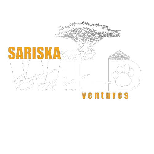 Sariska safari
